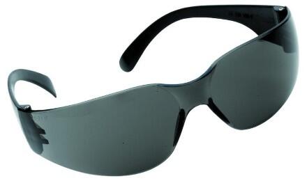 Skyddsglasögon Worksafe Cheetah L Lins Grå